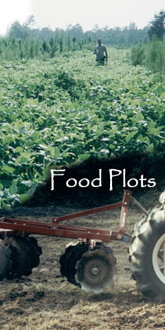 Maintain your wildlife food plots year round.