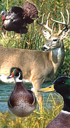 Florida Hunting Leases for deer, turkey, and ducks are available